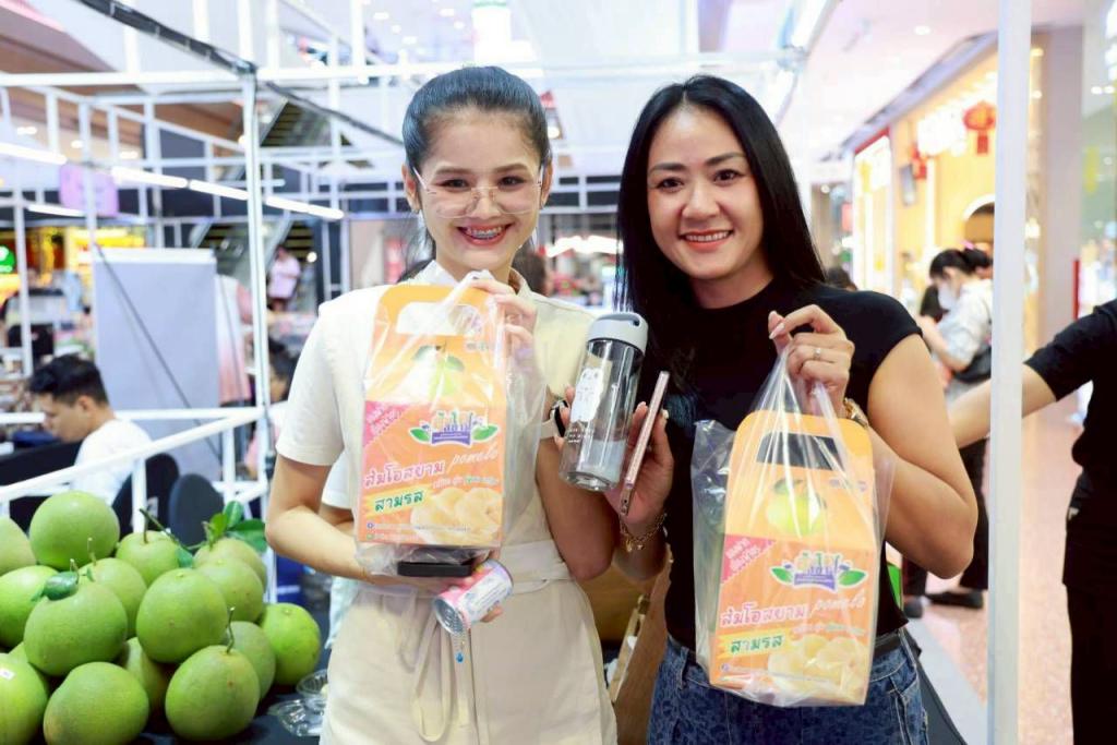 DIPROM Community Fair 2025 เหนือล่าง/กลางบน