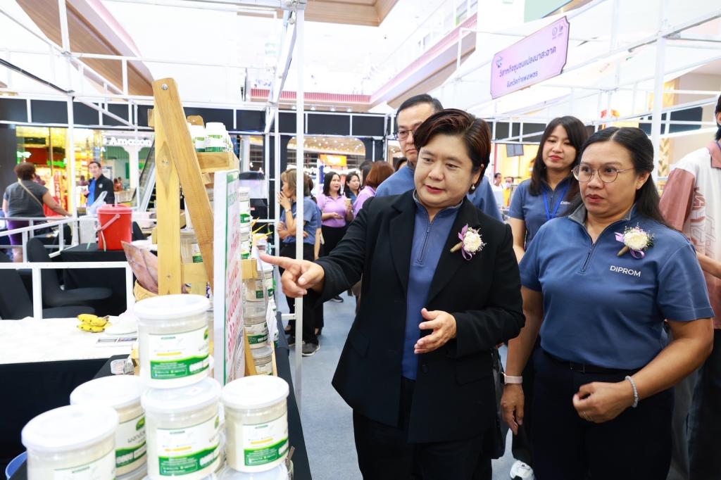 DIPROM Community Fair 2025 เหนือล่าง/กลางบน