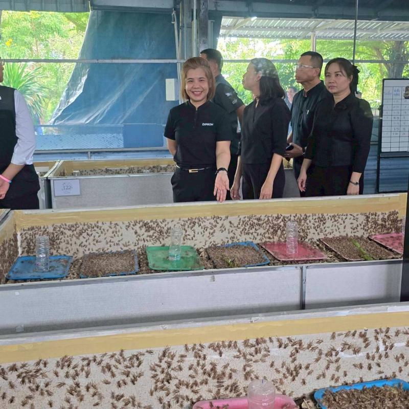 ดีพร้อมเซ็นเตอร์ 3 เดินหน้าขับเคลื่อน SME ยกระดับ “เปี่ยมสุขฟาร์ม” แปรรูปผลิตภัณฑ์ “จิ้งหรีด” สู่เกษตรมูลค่าสูง หนุนเศรษฐกิจพื้นที่โต